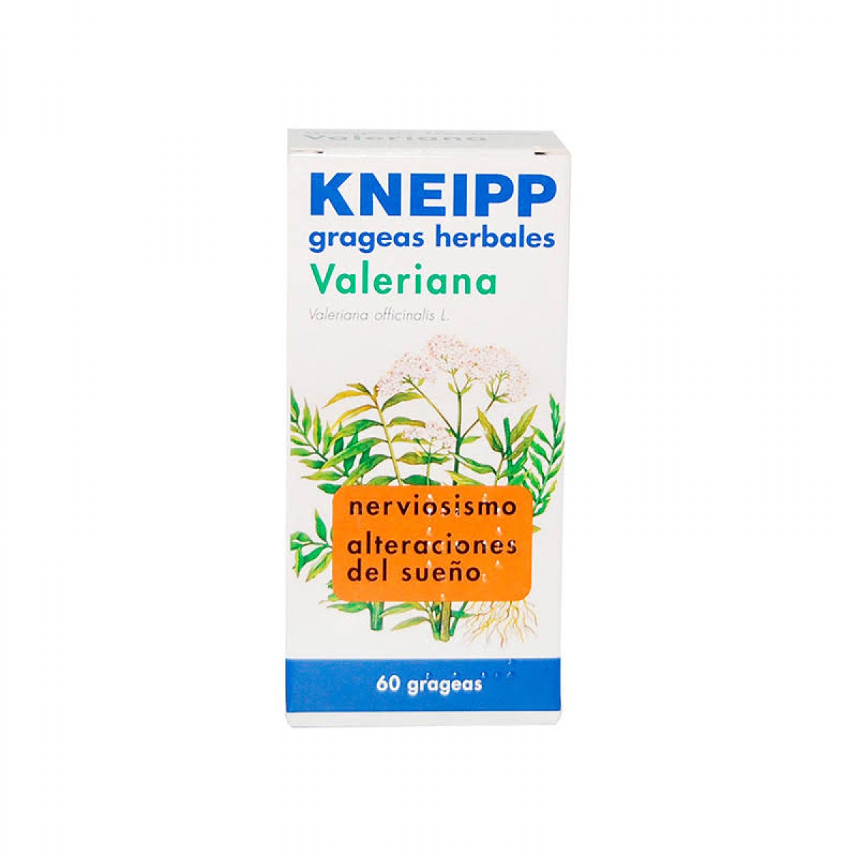 kneipp valeriana classic 60 grageas